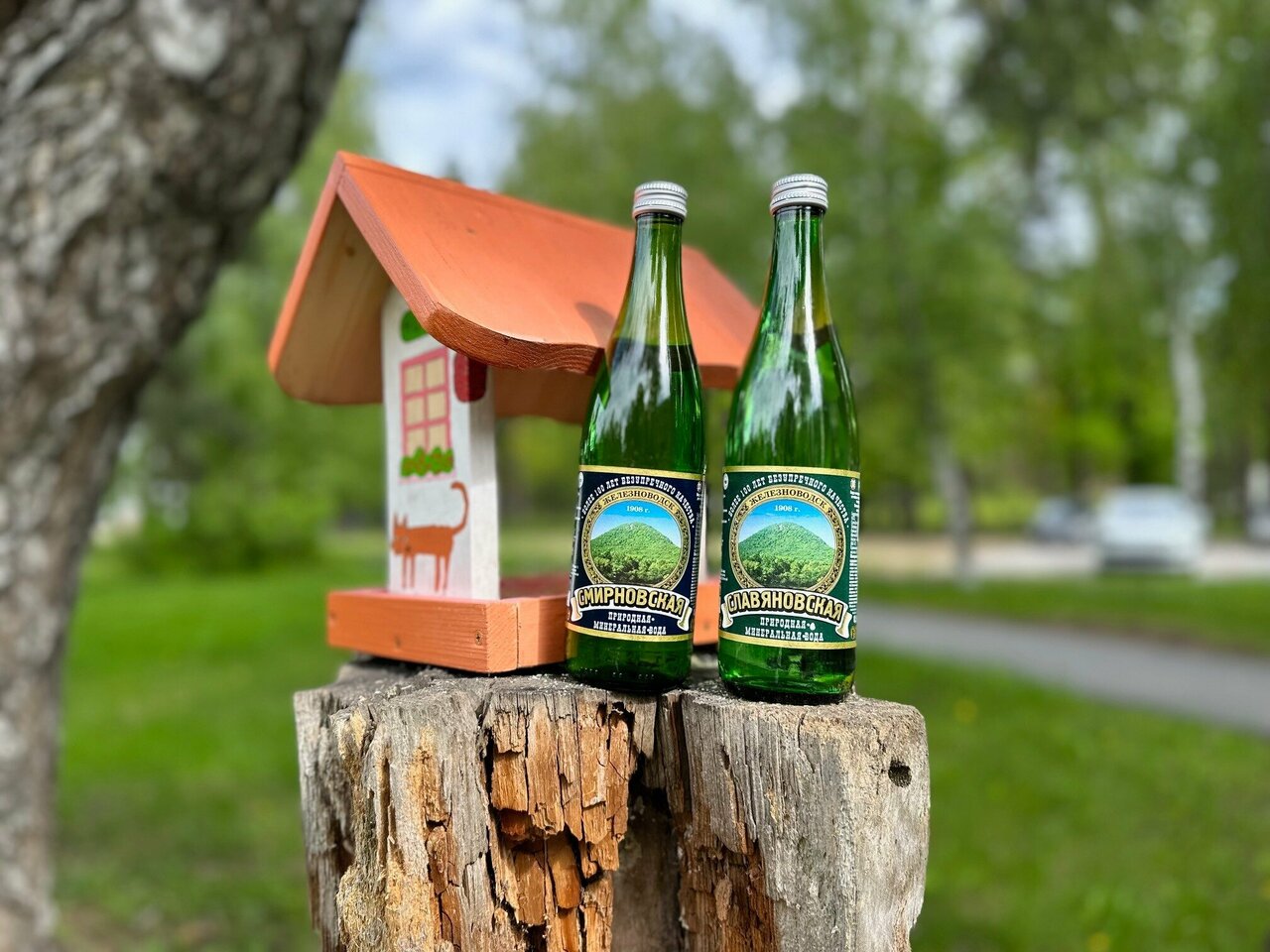 Гостиница Солотча Солотча-85