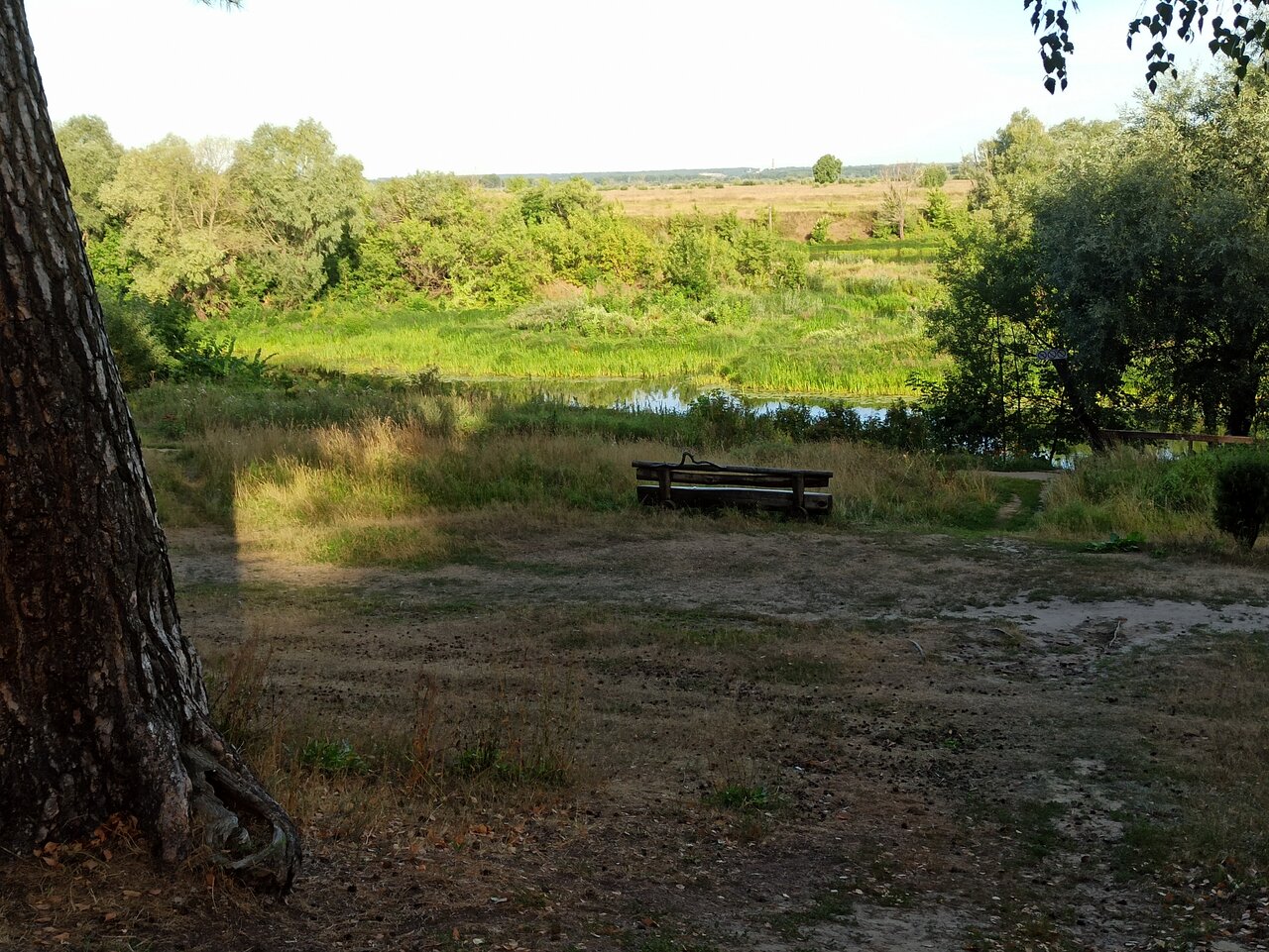 Гостиница Солотча Солотча-169