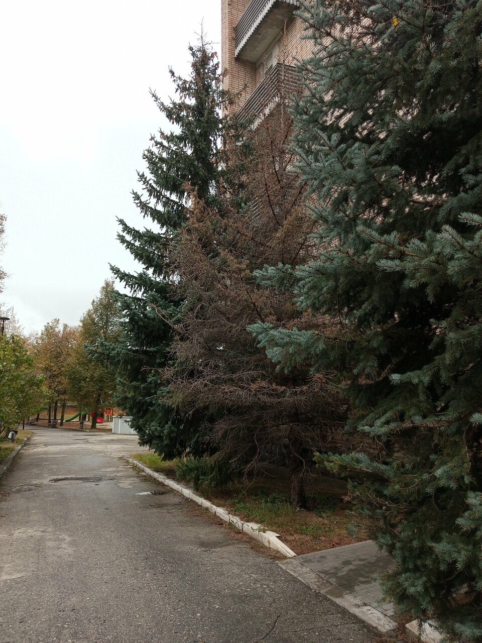 Гостиница Солотча Солотча-79