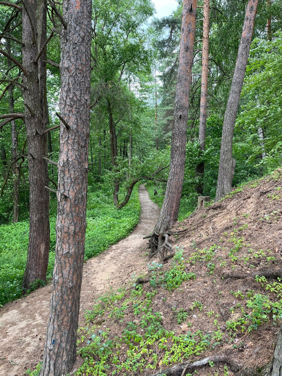 Гостиница Солотча Солотча-168