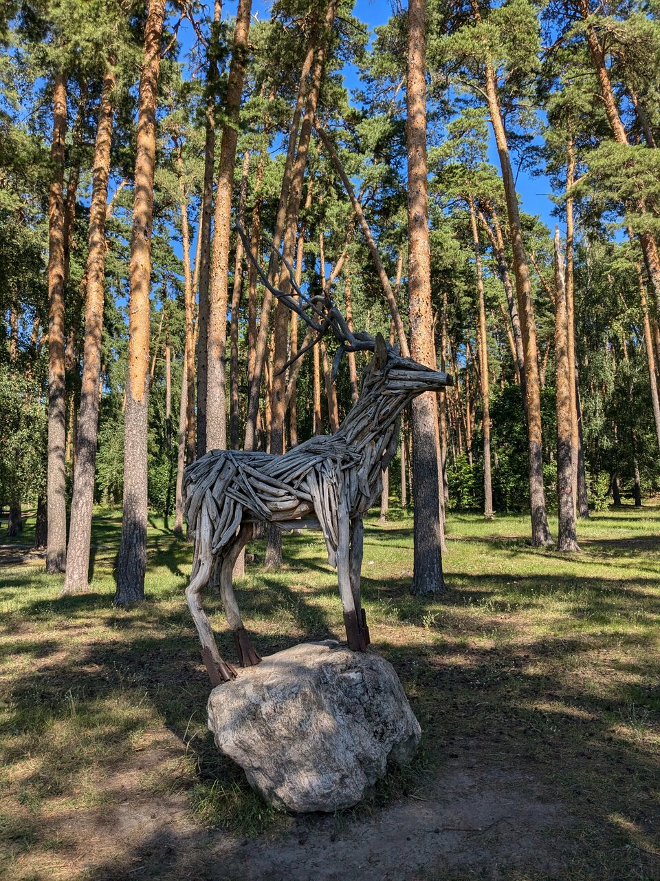 Гостиница Солотча Солотча-89