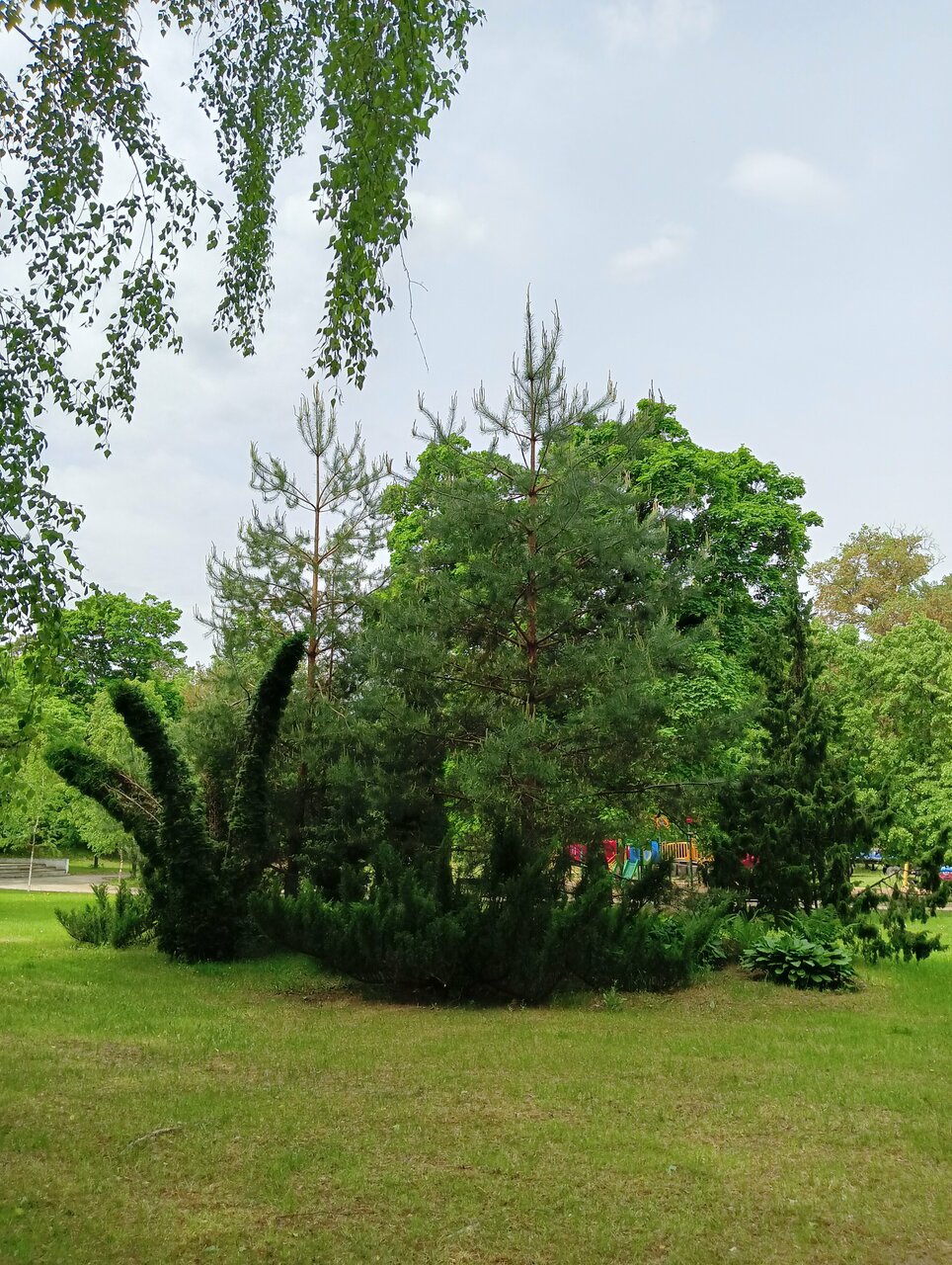 Гостиница Солотча Солотча-193