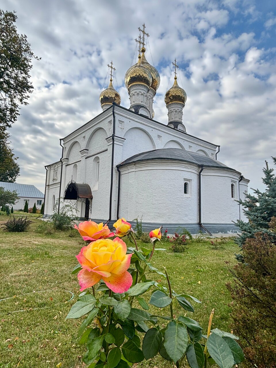 Гостиница Солотча Солотча-228