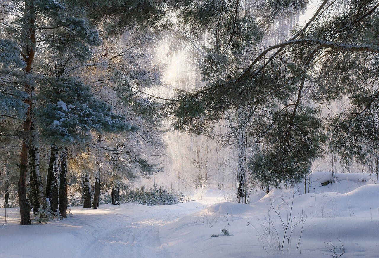 Гостиница Солотча Солотча-26