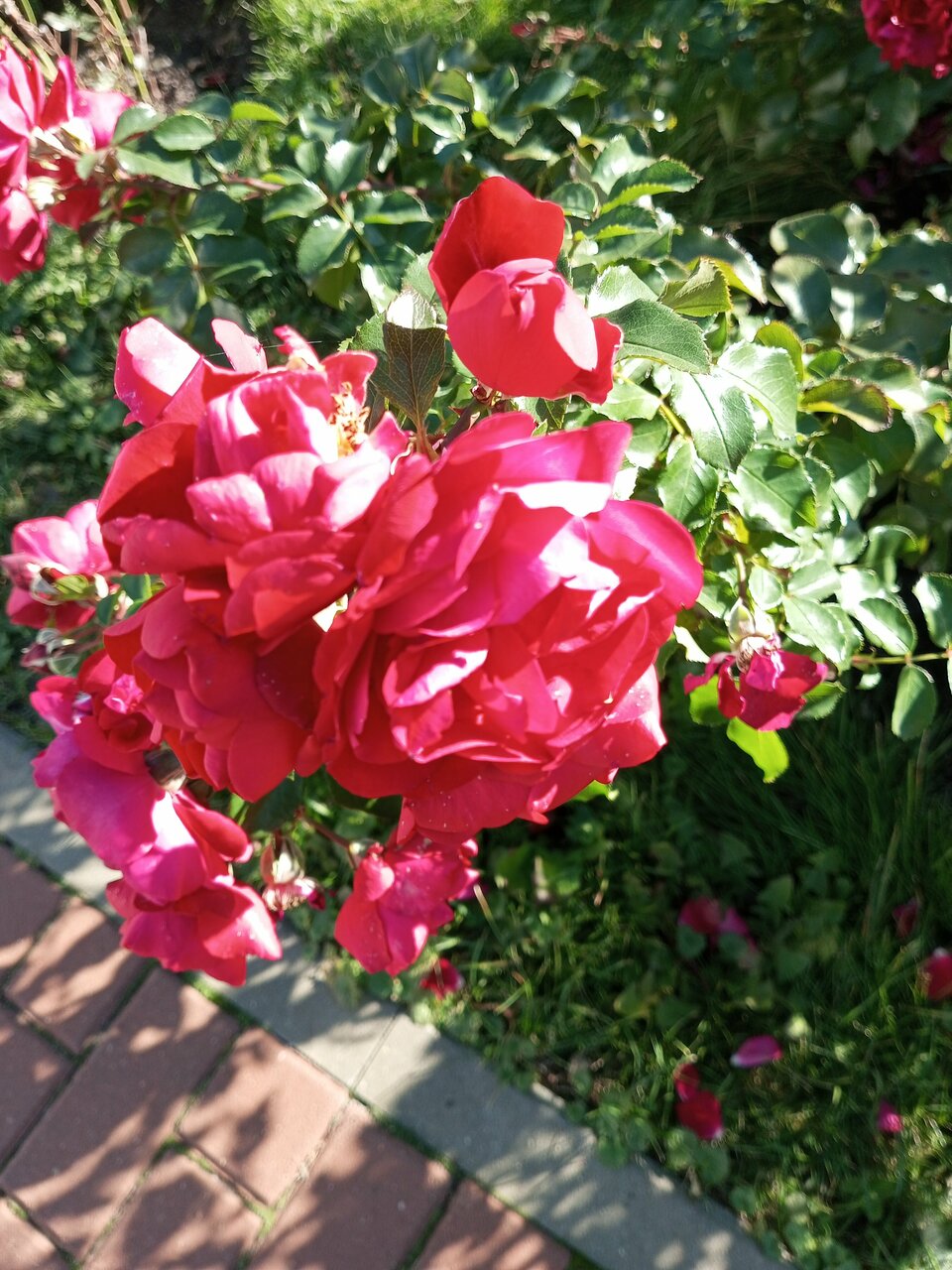 Гостиница Солотча Солотча-161