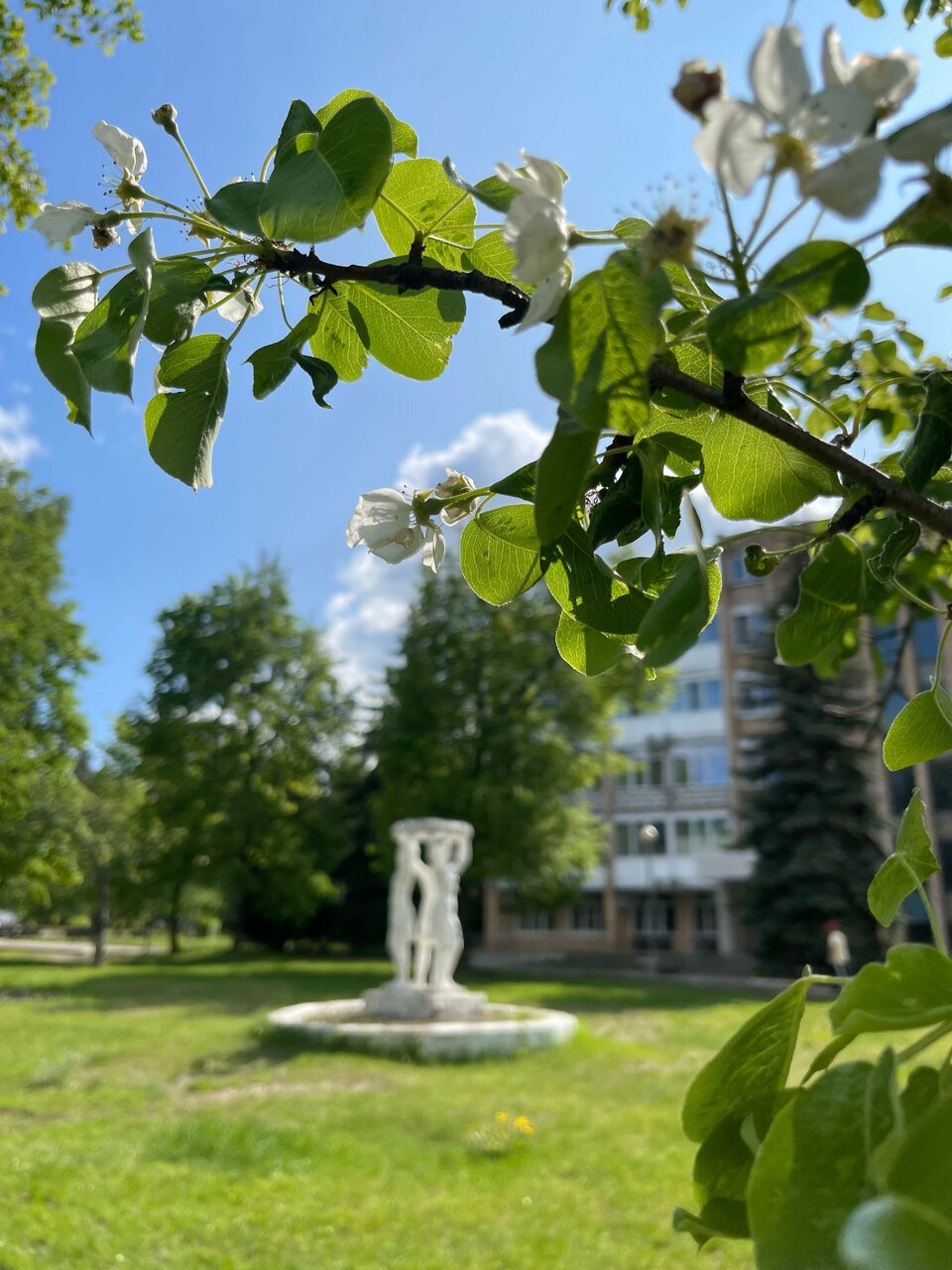 Гостиница Солотча Солотча-121