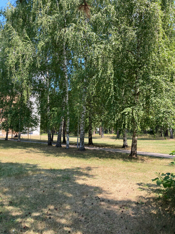 Гостиница Солотча Солотча-64