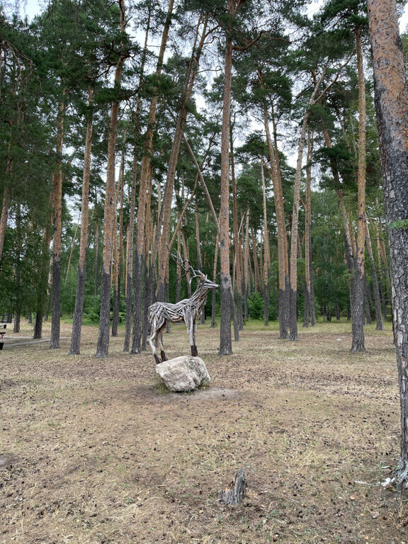 Гостиница Солотча Солотча-252