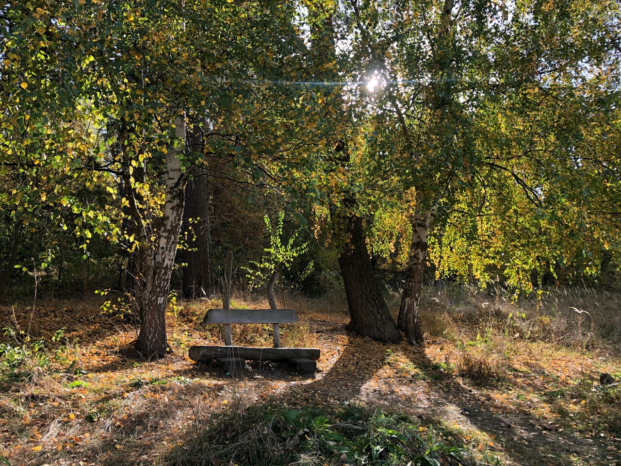 Гостиница Солотча Солотча-196