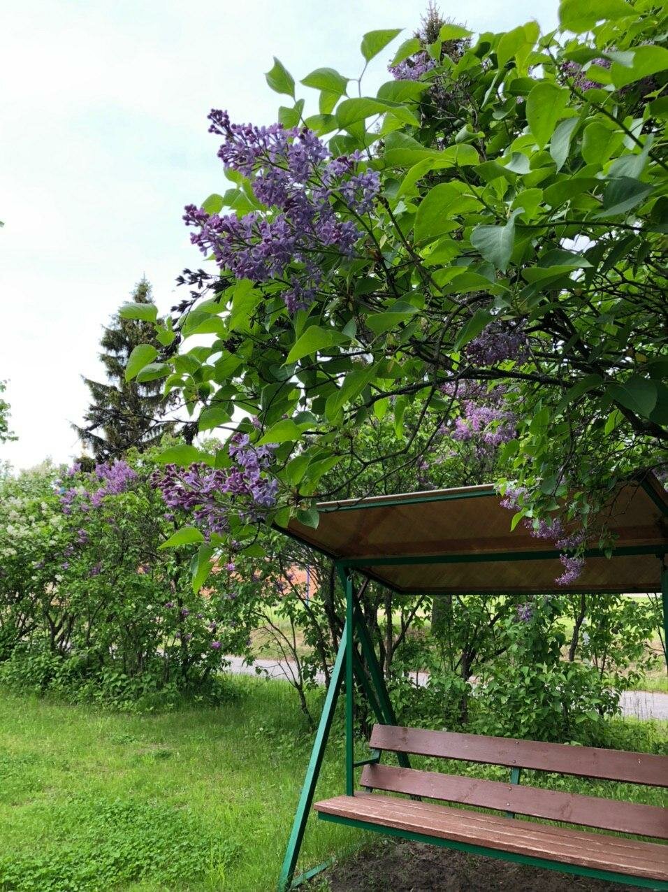 Гостиница Солотча Солотча-175