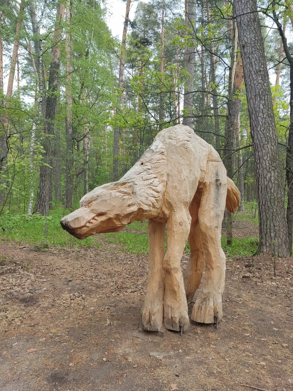 Гостиница Солотча Солотча-164