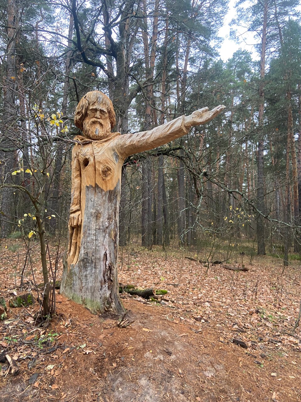 Гостиница Солотча Солотча-102