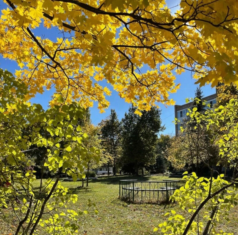 Гостиница Солотча Солотча-217