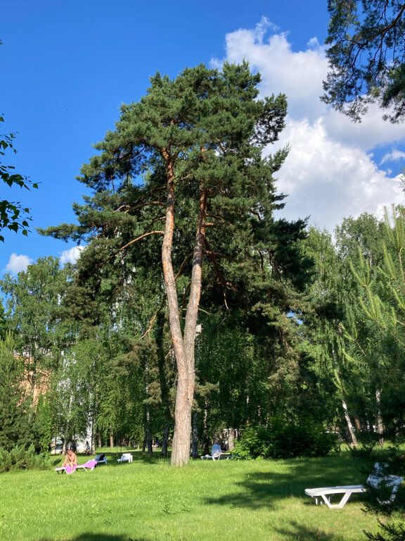 Гостиница Солотча Солотча-199