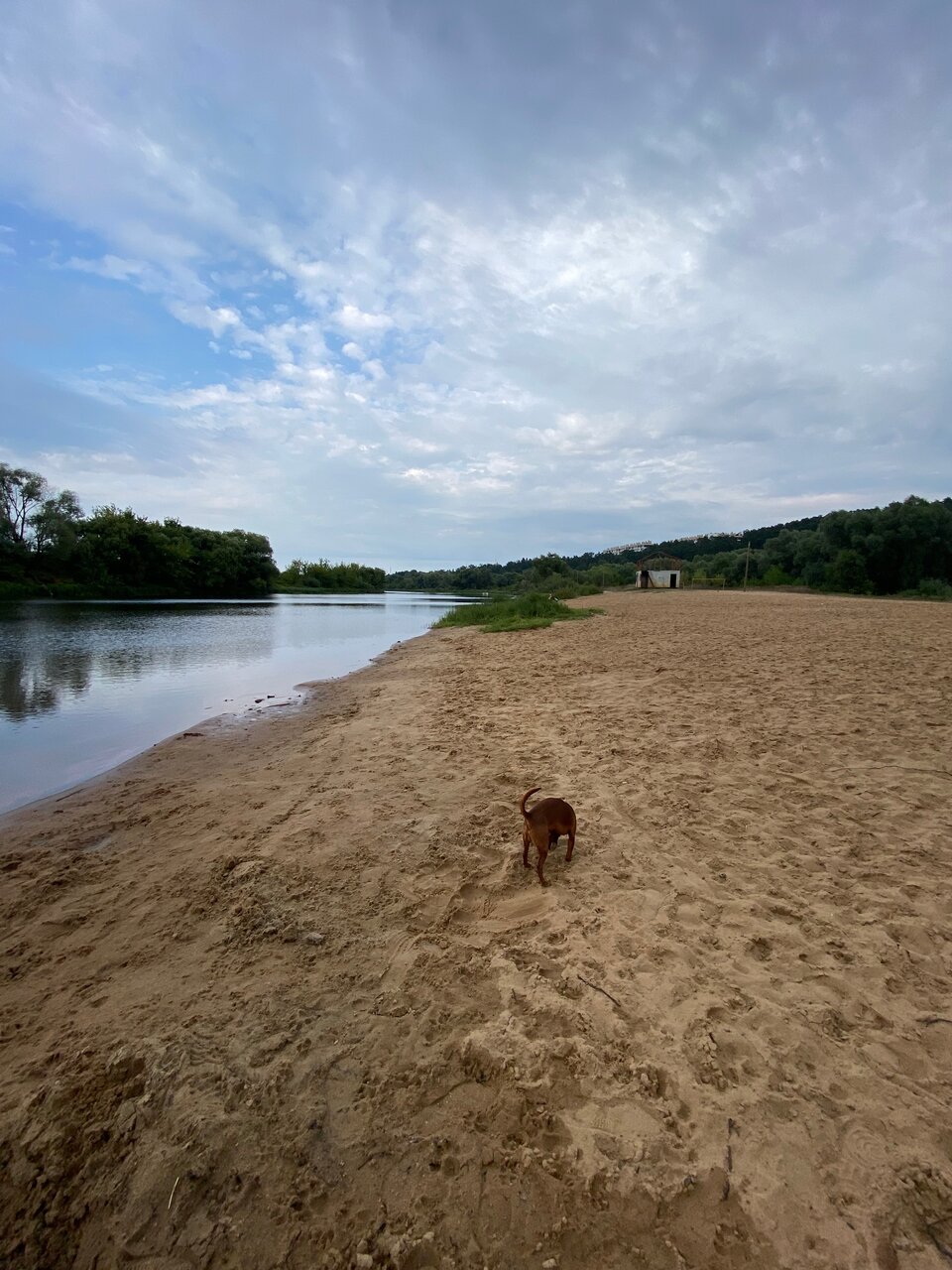 Гостиница Солотча Солотча-106