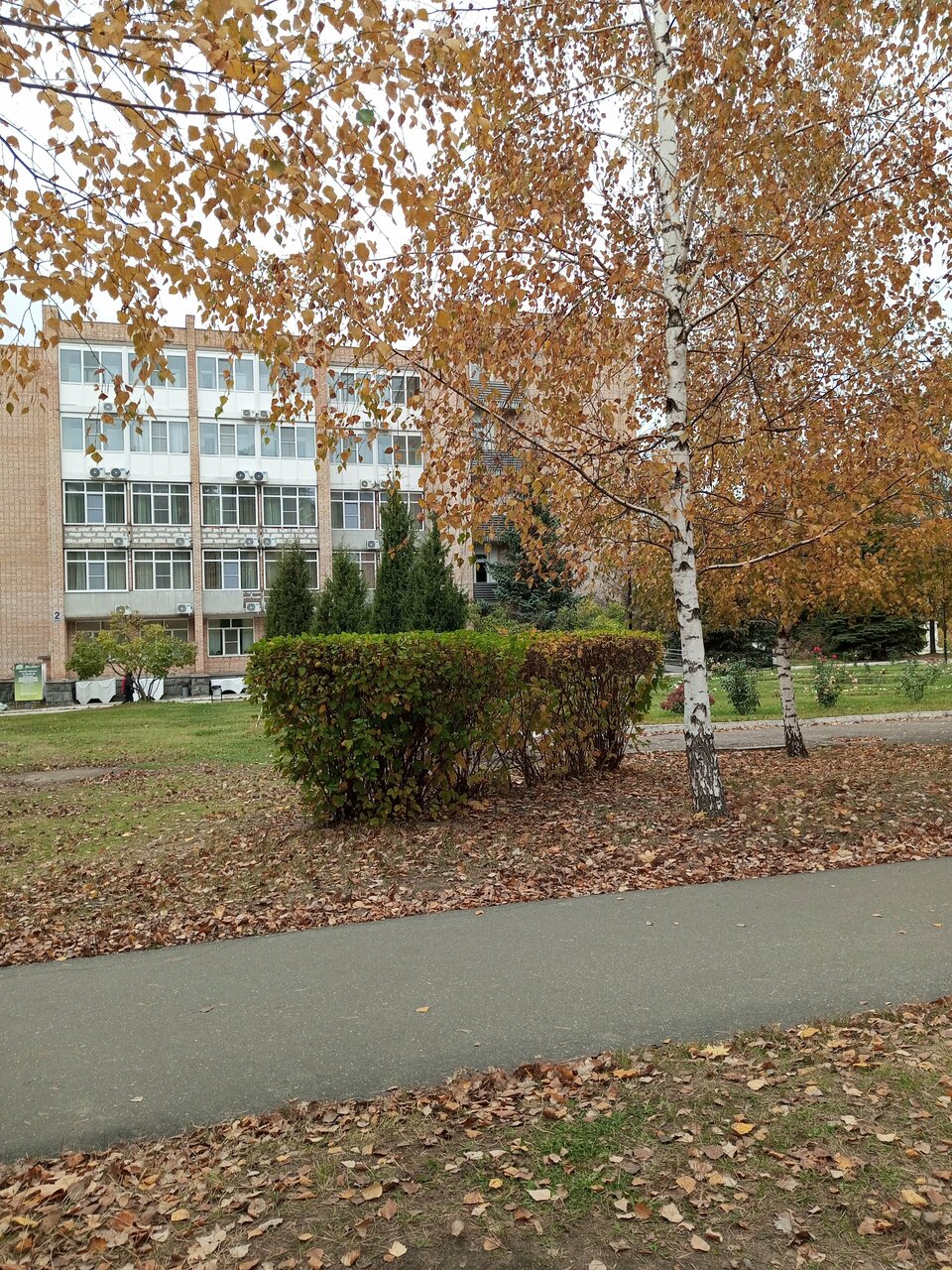 Гостиница Солотча Солотча-87