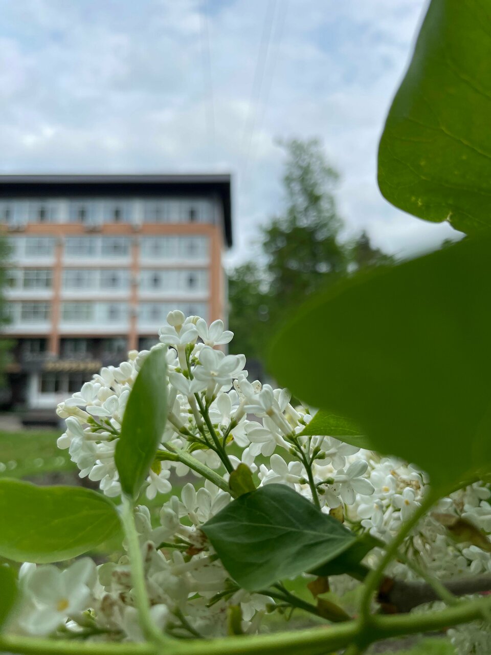 Гостиница Солотча Солотча-188