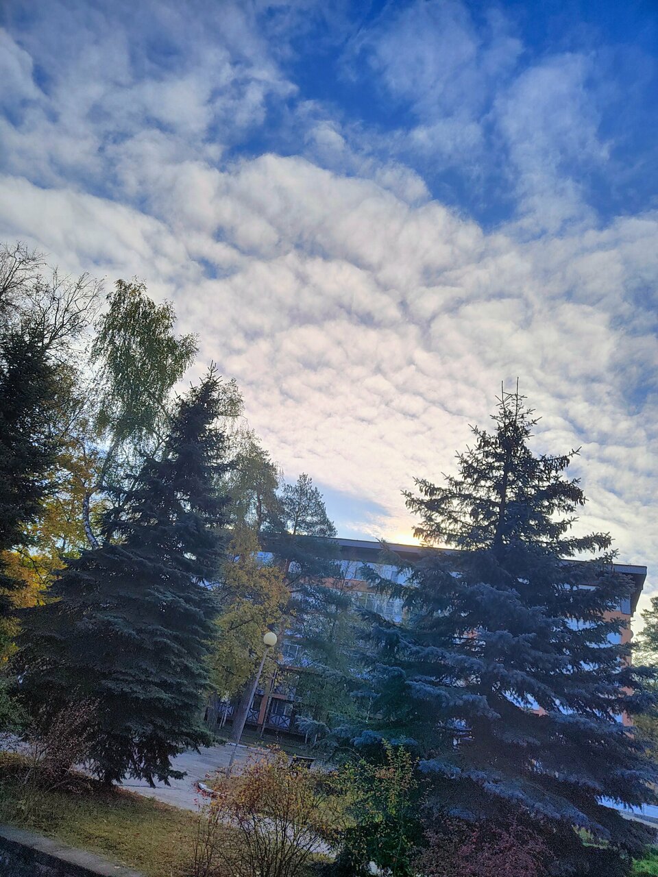 Гостиница Солотча Солотча-221