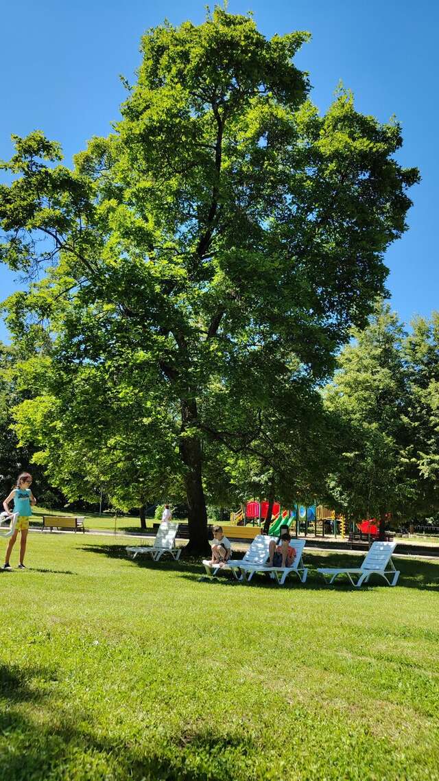 Гостиница Солотча Солотча-184