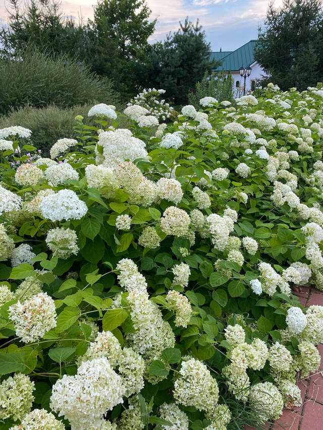 Гостиница Солотча Солотча-92