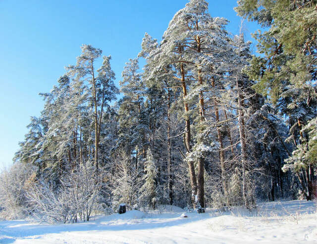 Гостиница Солотча Солотча-27