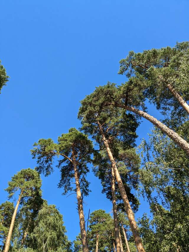 Гостиница Солотча Солотча-161