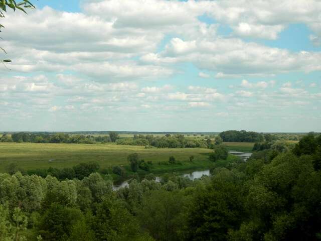 Гостиница Солотча Солотча-29