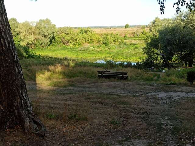 Гостиница Солотча Солотча-168