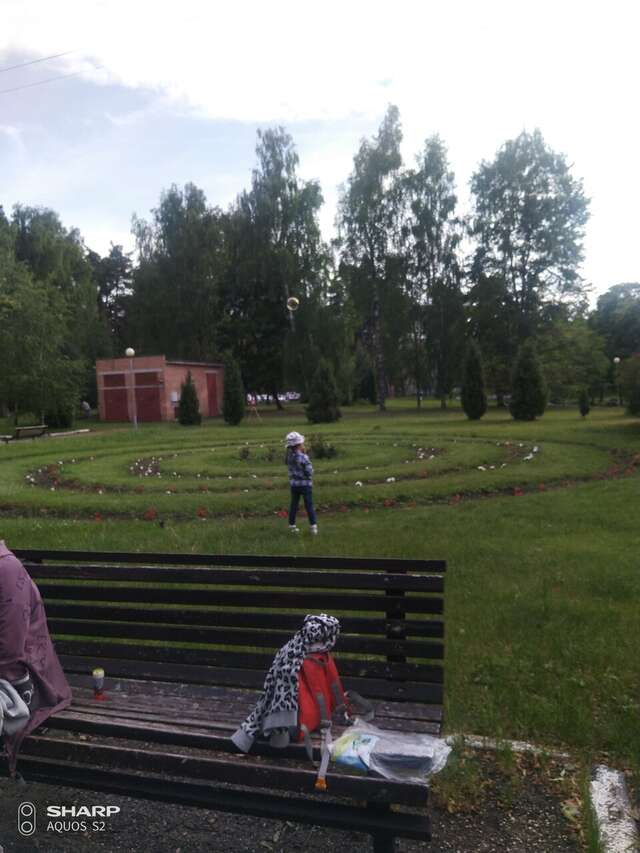 Гостиница Солотча Солотча-211