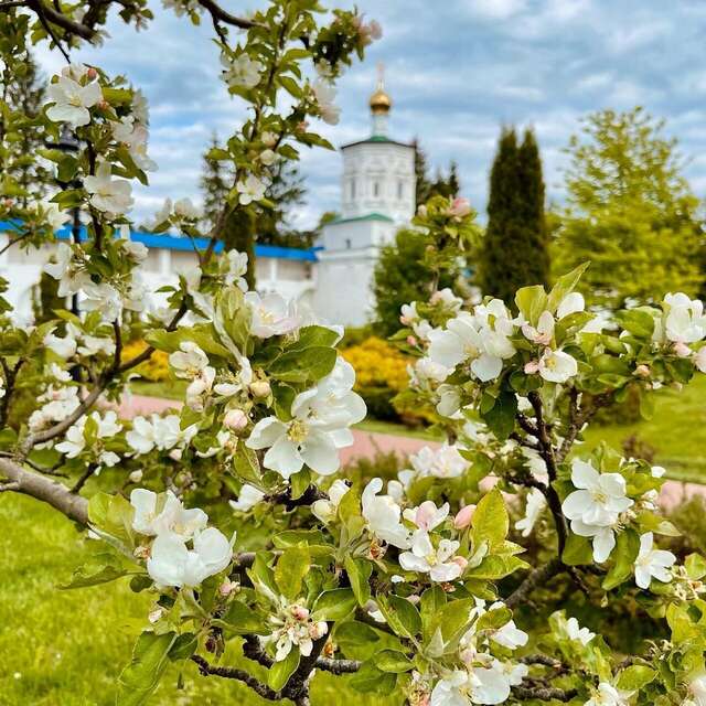 Гостиница Солотча Солотча-171