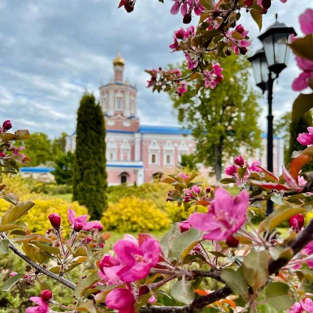 Гостиница Солотча Солотча-51