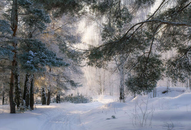 Гостиница Солотча Солотча-25
