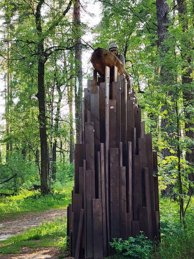 Гостиница Солотча Солотча-208