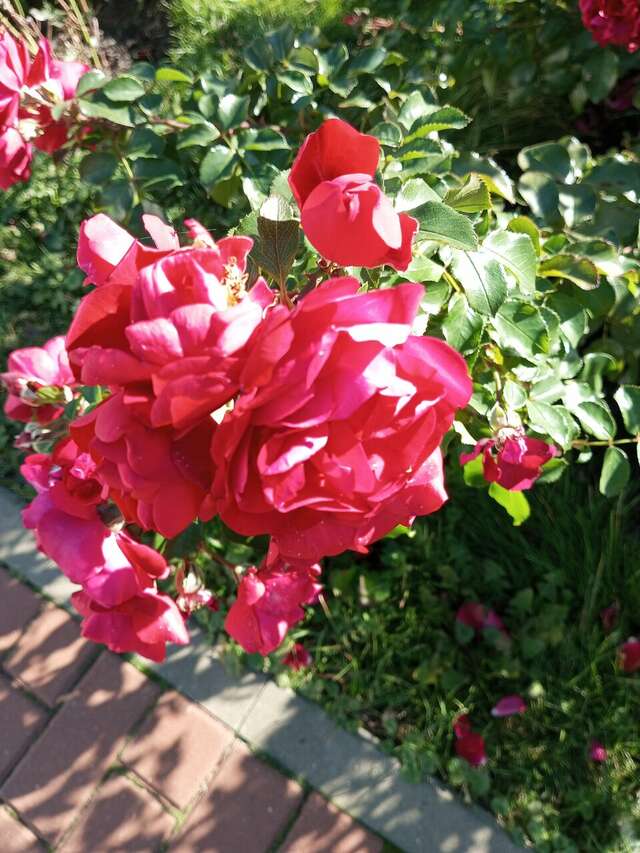 Гостиница Солотча Солотча-160