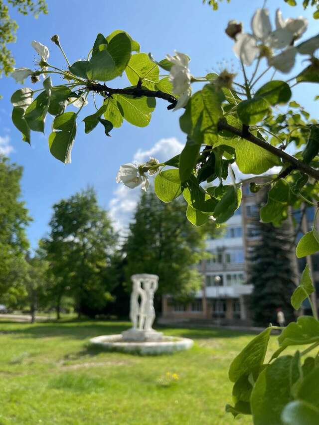 Гостиница Солотча Солотча-120