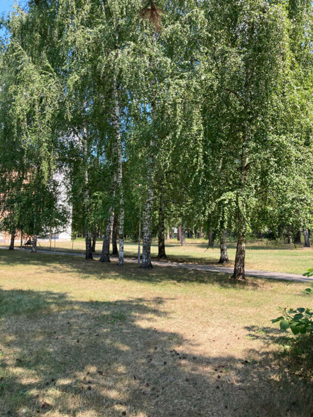 Гостиница Солотча Солотча-63