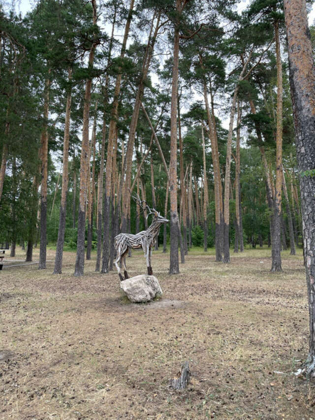 Гостиница Солотча Солотча-251