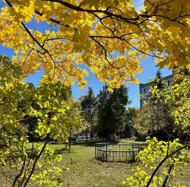 Гостиница Солотча Солотча-216