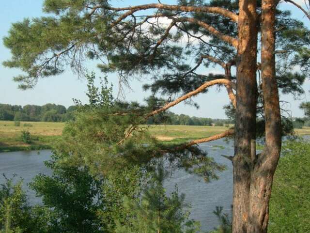 Гостиница Солотча Солотча-94