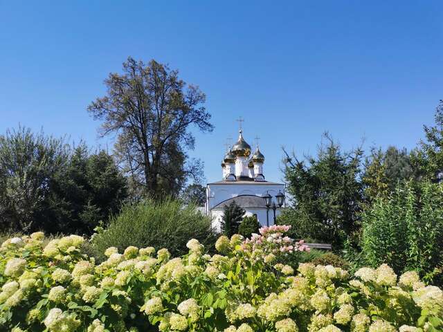 Гостиница Солотча Солотча-178