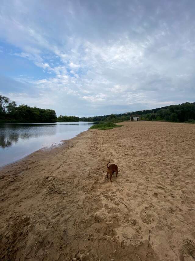 Гостиница Солотча Солотча-105