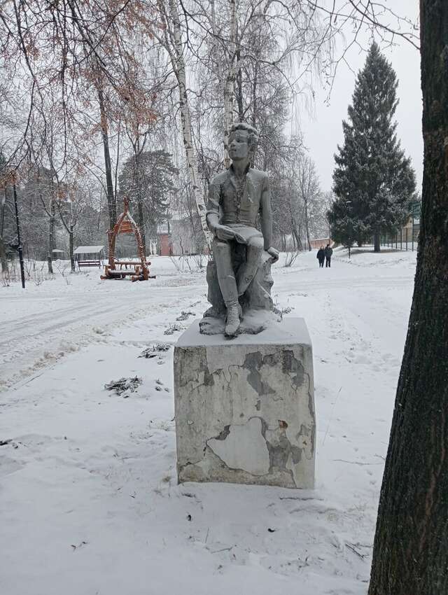 Гостиница Солотча Солотча-145