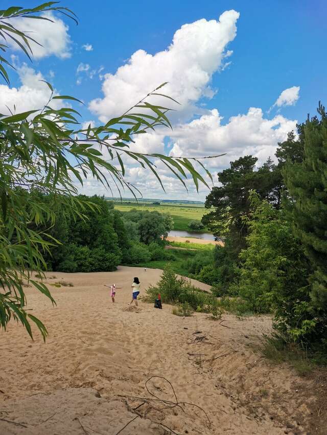 Гостиница Солотча Солотча-68