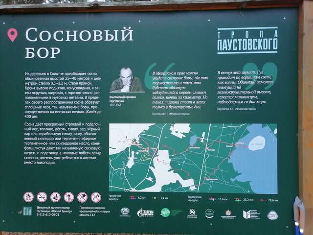 Гостиница Солотча Солотча-165