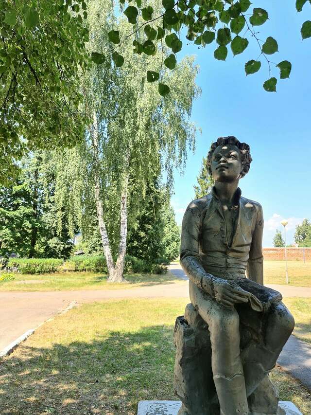 Гостиница Солотча Солотча-129